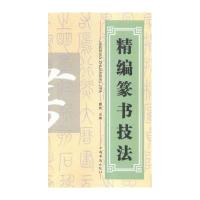 精编篆书技法9787511350824中国华侨出版社瞿然