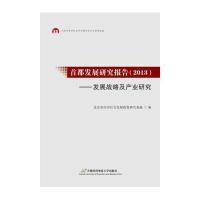 首都发展研究报告(2013):发展战略及产业研究9787563823949首都经济贸易大学出版社