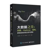 大数据之美:挖掘、Hadoop、架构更精准地发现业务与营销9787121293443电子工业出版社黄宏程