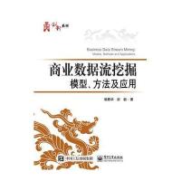 商业数据流挖掘模型、方法及应用9787121289651电子工业出版社琚春华