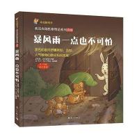 暴风雨一点也不可怕9787540778255漓江出版社申吉