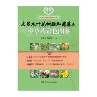 皮茎木叶花树脂及菌藻类*草*彩色图鉴9787535777676湖南科学技术出版社有限责任公司周德生