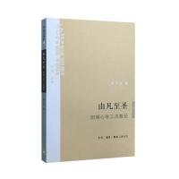 由凡至圣：阳明心学工夫散论9787108056238生活.读书.新知三联书店张卫红