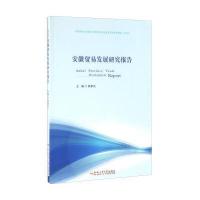 安徽贸易发展研究报告9787565028625合肥工业大学出版社邢孝兵