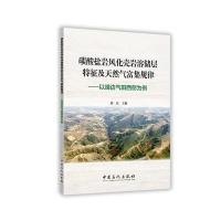 碳酸盐岩风化壳岩溶储层特征及天然气富集规律:以靖边气田西侧为例9787511439635中国石化出版社郭庆