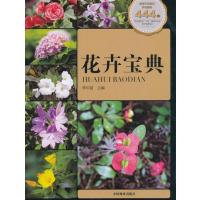 花卉宝典9787503887468中国林业出版社李印普