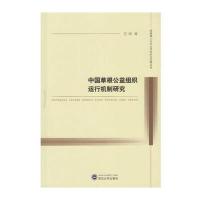 中国草根公益组织运行机制研究9787307190429武汉大学出版社玉苗