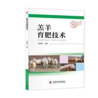 羔羊育肥技术9787504673824中国科学技术出版社张英杰