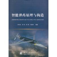 智能弹药原理与构造9787118109429国防工业出版社李向东