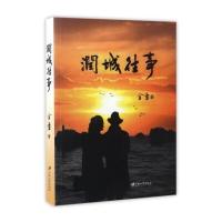 润城往事9787568404280江苏大学出版社有限责任公司金童