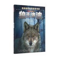 狼王洛波(影像青少版)9787551415552浙江摄影出版社欧内斯*·汤*森·西顿