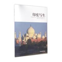 印度写生9787514011753北京工艺美术出版社福建省美术家协会人物画艺委员会