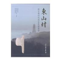 东山村:新石器时代遗址发掘报告(全3册)9787501044450文物出版社南京博物院