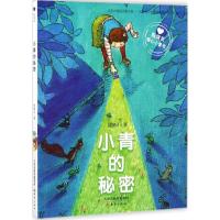 殷健灵暖心小童书?小青的秘密9787530766248新蕾出版社殷健灵