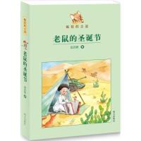 疯狂的土豆：老鼠的圣诞节9787533297893明天出版社安亦然