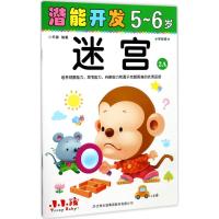 潜能开发(5-6岁.迷宫.2A)9787558134944吉林出版集团译文禾稼