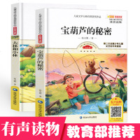 儿童文学大师百部获奖作品?宝葫芦的秘密(美绘版)9787568840040延边大学出版社张天翼