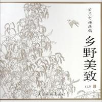 乡野美致9787554707630天津杨柳青出版社丁立伟