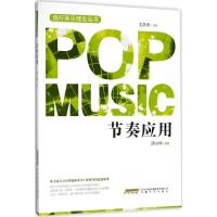 节奏应用9787539660134安徽文艺出版社潘永峰