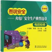 火电厂安全生产典型违章(彩图版)(电控检修)9787519809317中国电力出版社孙海峰