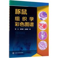 豚鼠组织学彩色图谱9787122327017化学工业出版社薛云