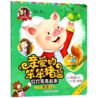 爱的教育:亲爱的笨笨猪系列图画书?红灯笼亮起来9787559708199浙江少年儿童出版社有限公司杨红樱