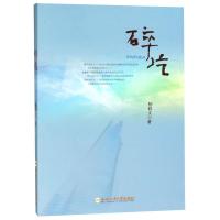 碎片9787565040528合肥工业大学出版社杨修文