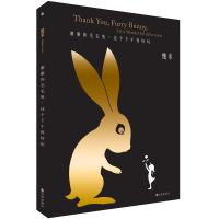 谢谢你毛毛兔这个下午真好玩9787510873485九州出版社幾米
