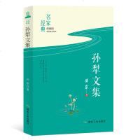 孙犁文集 统编版9787502068455煤炭工业出版社孙犁
