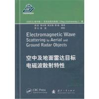 空中及*面*达目标电磁波散射特*9787118114669国防工业出版社(乌克兰)奥列格I?苏克哈雷夫斯基