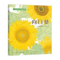 向日葵9787513326179新星出版社荒井真纪