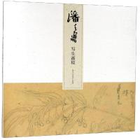 潘天寿写生画稿9787534070167浙江人民美术出版社本社编