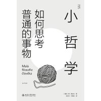 小哲学：如何思考普通的事物9787301298879北京大学出版社有限公司扬·索克尔