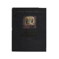 汉地佛教造像服饰研究9787566914064东华大学出版社葛英颖