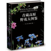 青藏高原野花大图鉴9787568903530重庆大学出版社牛洋