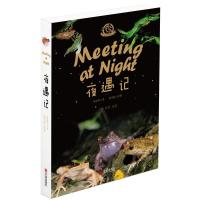 夜遇记9787552633276宁波出版社张海华