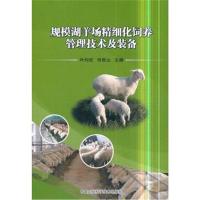 规模湖羊场精细化饲养管理技术及装备9787511635129中国农业科学技术出版社叶均安