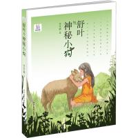 淘淘丛书?舒叶与神秘小狗 美绘版9787558903762少年儿童出版社李学斌