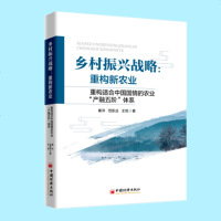 乡村振兴战略:重构新农业9787513654708中国经济出版社巢洋