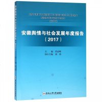 安徽舆情与社会发展年度报告 20179787565041518合肥工业大学出版社芮必峰