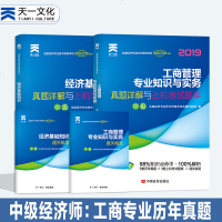 天一新奥 天一文化 全国经济专业技术资格考试成功之路系列 工商管理专业知识与实务 真题详解与上机考试题库 中级 202