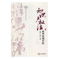 知识产权法典型案例评析9787548730286中南大学出版社何炼红