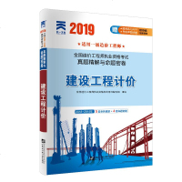 天一文化 全国造价工程师执业资格考试真题精解与命题密卷 建设工程计价 20199787566118301