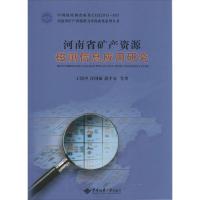 河南省矿产资源磁测信息应用研究9787562537229中国地质大学出版社王纪中