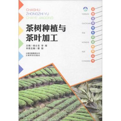 茶树种植与茶叶加工9787541687068云南科学技术出版社蔡新