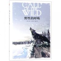 野*的呼唤9787559408372江苏文艺出版社无