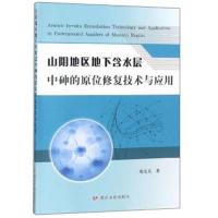 山阴地区地下含水层中砷的原位修复技术与应用9787550920613黄河水利出版社邓天天