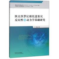 陕北侏罗纪煤低温氧化反应*及动力学基础研究9787564639808中国矿业大学出版社王凯