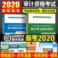 审计专业技术资格考试辅导教材(2册)9787519255152世界图书出版公司审计专业技术资格考试研究组