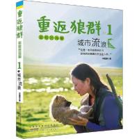 重返狼群 1 城市流浪 彩绘注音版9787570706761安徽少年儿童出版社李微漪